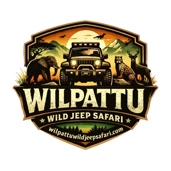 Wilpattu Wild Jeep Safari